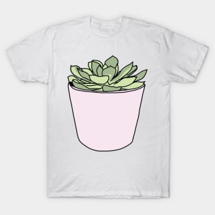 Green succulent in pink flowerpots T-Shirt